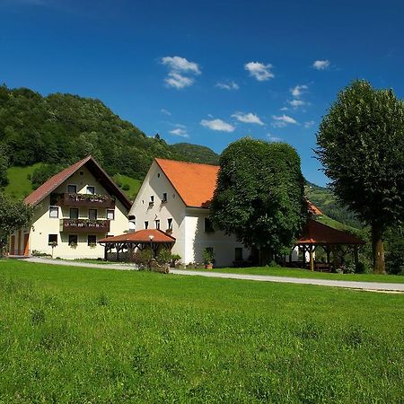 Willa Tourist Farm Zelinc Cerkno Zewnętrze zdjęcie